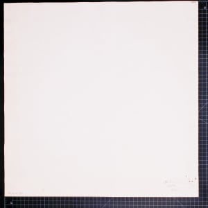 Vera Paints a Flower Tree by Vera Neumann 