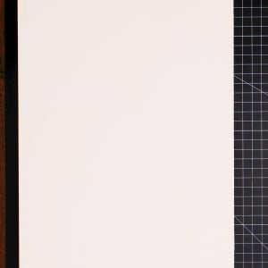 Vera Makes a Tropical Collage by Vera Neumann