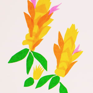 Vera Makes a Tropical Collage by Vera Neumann