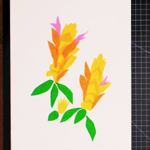Vera Makes a Tropical Collage by Vera Neumann