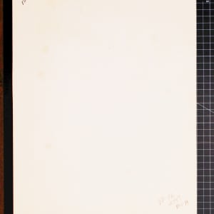 Vera Paints Poppies by Vera Neumann 