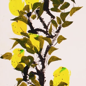 Vera Paints Japanese Loquats by Vera Neumann 