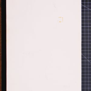 Vera Paints Crocus Flowers by Vera Neumann 