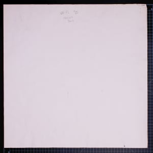 Vera Paints a Peony by Vera Neumann 