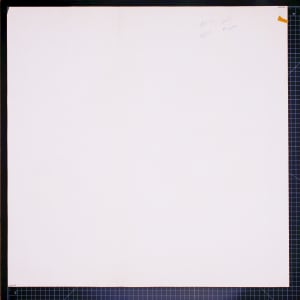 Vera Paints a Flower Field by Vera Neumann 