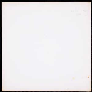 Vera Paints Orange Fan Flowers by Vera Neumann 