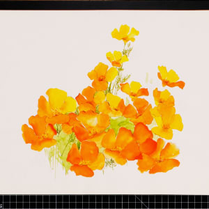 Vera Paints Orange Poppies by Vera Neumann 