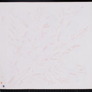 Oriental Flowers by Vera Neumann 