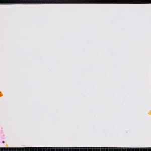 Marsh Mallows by Vera Neumann 