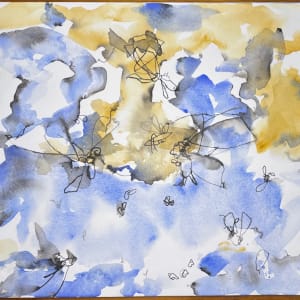 Moths 4 by curtis bay