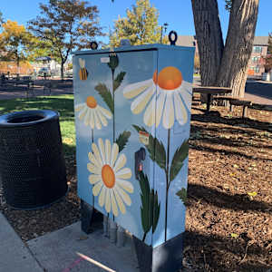 Utility Wrap - Blue Daisies (O'Brien Park) 