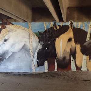 Parker Stampede (Paint Parker Mural) by Lutheran High School Art Students
