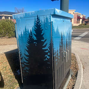 Utility Wrap - Blue Bison (NW Corner of Dransfeldt and Mainstreet) 