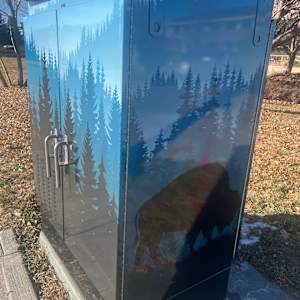 Utility Wrap - Blue Bison (NW Corner of Dransfeldt and Mainstreet) 