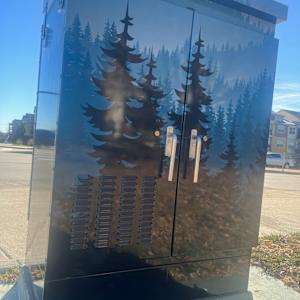 Utility Wrap - Blue Bison (NW Corner of Dransfeldt and Mainstreet) 