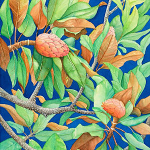 Charleston Magnolia by Terrie Langham