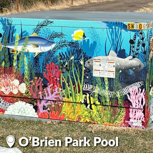 Utility Wrap - Sea Life (O'Brien Park) 