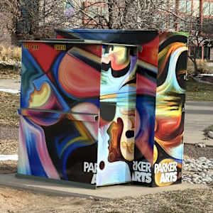 Utility Wrap - Cultural (Old Town Hall) 