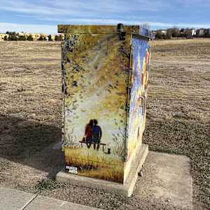 Cabinet Wrap - Imagination (Pine Curve) 