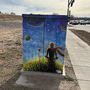 Cabinet Wrap - Imagination (Pine Curve) 
