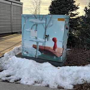 Utility Wrap - Books and Beyond (Discovery Park) 