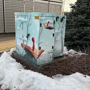 Utility Wrap - Books and Beyond (Discovery Park) 