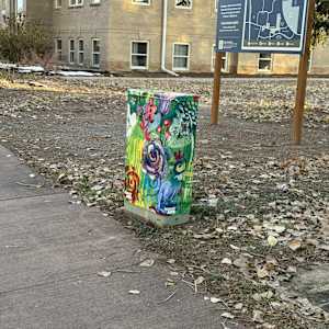 Utility Cabinet - Flowers (The Schoolhouse) 