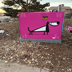Utility Wrap  - Dogs (O'Brien Park) 
