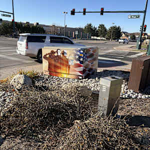 Utility Wrap - Patriotic (Living Wheel Park) 