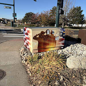 Utility Wrap - Patriotic (Living Wheel Park) 