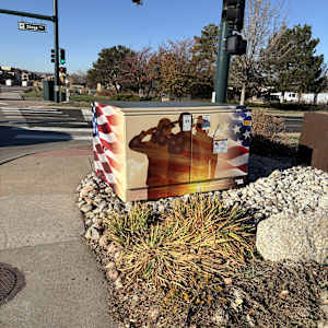 Utility Wrap - Patriotic (Living Wheel Park) 