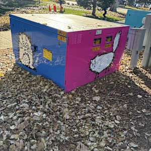 Utility Wrap - Cats (O'Brien Park) 