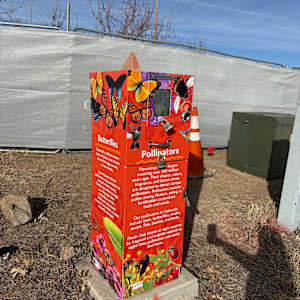 Utility Wrap - Pollinator (Sulphur Gulch Trail behind PACE) 