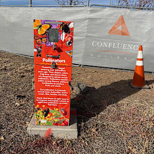 Utility Wrap - Pollinator (Sulphur Gulch Trail behind PACE) 