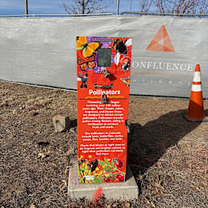 Utility Wrap - Pollinator (Sulphur Gulch Trail behind PACE) 