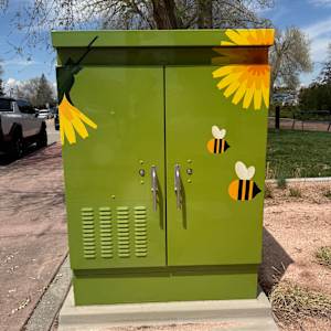 Utility Wrap - Green Daisies (O'Brien Park) 
