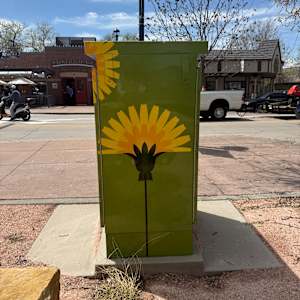 Utility Wrap - Green Daisies (O'Brien Park) 
