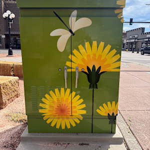 Utility Wrap - Green Daisies (O'Brien Park) 
