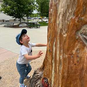 Spirit of Change Tree Sculpture (Permanent Public Art) by Matt Ounsworth 