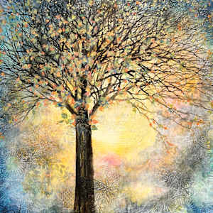 Infinite Light by Donna Martin