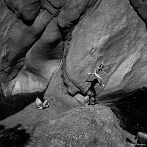 Untitled by Liana Shinbein