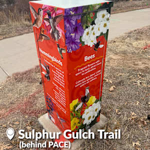 Utility Wrap - Pollinator (Sulphur Gulch Trail behind PACE) 
