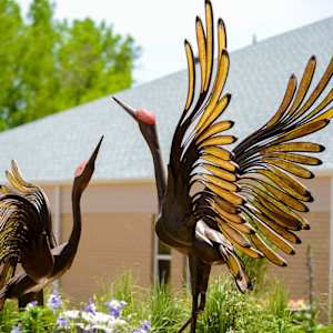 The Dance (Permanent Public Art) by Lee Proctor