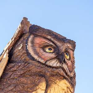 Spirit of Change Tree Sculpture (Permanent Public Art) by Matt Ounsworth 