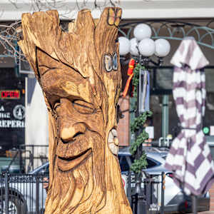 Spirit of Change Tree Sculpture (Permanent Public Art) by Matt Ounsworth 