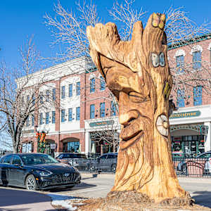 Spirit of Change Tree Sculpture (Permanent Public Art) by Matt Ounsworth 