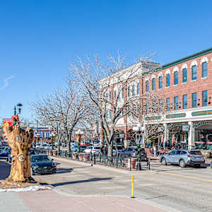 Spirit of Change Tree Sculpture (Permanent Public Art) by Matt Ounsworth 