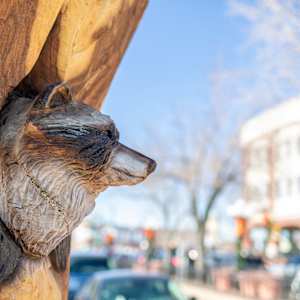 Spirit of Change Tree Sculpture (Permanent Public Art) by Matt Ounsworth 