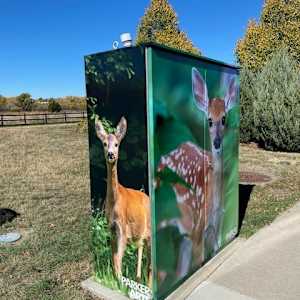 Utility Wrap - Oh Deer (Railbender Park Tennis Courts) 