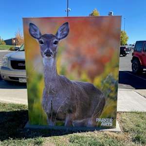 Utility Wrap - Oh Deer (Railbender Park Tennis Courts) 